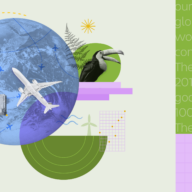 Collage of images related to sustainability – animals, airplanes, the earth