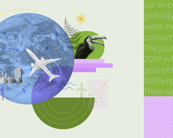 Collage of images related to sustainability – animals, airplanes, the earth